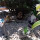 CHEZ VERO - Chambre d'hôte privée - proche Cassis Ste Baume Marseille Le Castelet Agora - parking clos -, オーバーニュ - 写真 7