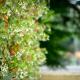 Terme Preistoriche Resort & Spa, モンテグロット・テルメ - 写真 5