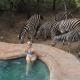 Kruger Park Hostel, Marloth Park - Foto 1