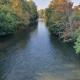 Les berges du moulin, Ensisheim - Fotografie 6