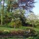 Les Bleuets, Scharrachbergheim Irmstett - Photo 4