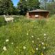 Acorn Glade Glamping, York - Foto 10