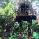 Sanctuaria Treehouses Busuanga, Busuanga - Foto 4
