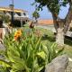 Guanche Bay, Santa Cruz de Tenerife - Foto 5