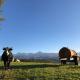 75 m² de plaisir face aux Pyrénées., Layrisse - Φωτογραφία 8