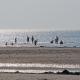 Haus-Boehler-Landstrasse-Whg-01, Sankt Peter-Ording - Foto 8
