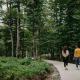 didveli inn, バクリアニ - 写真 3