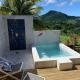 Case Oiseaux de paradis avec piscine, サント・ローズ - 写真 2
