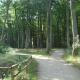 Küstenwald - Ferienwohnung Klatschmohn, Müritz - Foto 7
