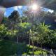 Chalé Espaço Raiz de Lumiar, Nova Friburgo - Foto 2