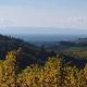 Lovely apartment in Baden-Württemberg, Giedensbach - 写真 5
