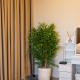BGC 3BR Uptown Parksuites with bathtub 16, マニラ - 写真 5