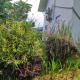 Rêve Tropical Chambres D'hôtes, Anse a La Mouche - 写真 3