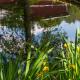 Gasthaus Stollmühle, Stützengrün - 写真 7