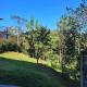 Suite Ana - Casa Tapera Nova, Conceição da Ibitipoca - Foto 4