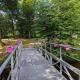 Île privée en Berry, nature et pêche, chauffage central - FR-1-591-593, Le Menoux - Foto 3