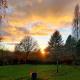 Manoir La Tasserie, Saint-Philbert-des-Champs - 写真 10