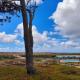 WOT Peniche PinhalMar, ペニシェ - 写真 9
