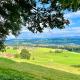 Ferienwohnung Wolkenfrei mit Pool und Sauna, シャイデック - 写真 6