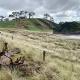 Elliot Bay - Hilltop Cottage, Rawhiti - 写真 4