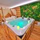 JUNGLE SPA-4 Pers-Jacuzzi-Parking-Jardin-Clim-Colmar, Muntzenheim - Foto 1