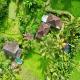Dewa Jati Cottages, Gianyar - Fotografie 1