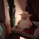 Bed And Breakfast Loriana, Arezzo - Fotografie 10