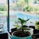 Oasis de Caudéran, ボルドー - 写真 5