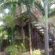 T&T - Tatty and Tony Guesthouse, Negril - Photo 5