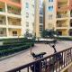 1 plus 1 in city centre Hurghada, Hurghada - Foto 4