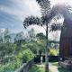 Pondok Bulan Lake View, Kintamani - 写真 6