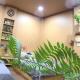 Thien Phu Homestay and Coffee - Mang Den, Kon Von Kla - Foto 2