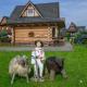 Domek u Daniela, Zakopane - Foto 3
