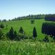 Ferienhauspark Hasselfelde, Hasselfelde - Foto 3