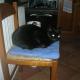 Affittacamere La Fornace, Rigomagno - 写真 2