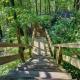 Mountain Laurel Tree House, Highlands - Photo 7