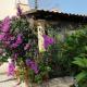 Apartments by the sea Cove Osibova, Brac - 23774, ミルナ - 写真 7