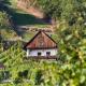 Weinberg Lodge - Kellerstöckl, Klöch - Foto 4