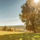 Authentic stone house with private pool, Orliac - Fotografie 9