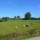 La ferme d'Amel, Amblève - Foto 9